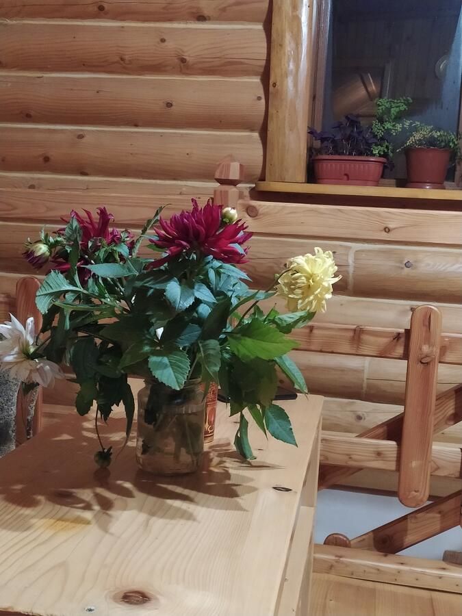 Гостевой дом Бабусин Двір Славское