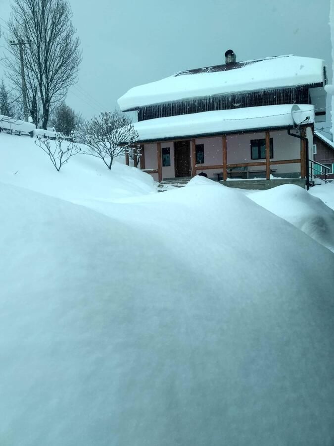 Гостевой дом Бабусин Двір Славское
