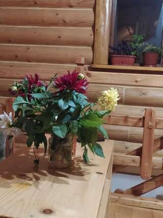 Гостевой дом Бабусин Двір Славское Двухместный номер с 1 кроватью, вид на сад-19
